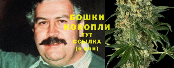 spice Струнино