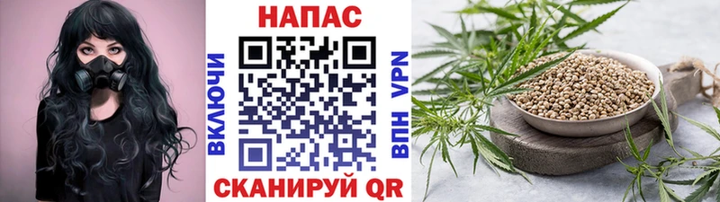 даркнет как зайти Подпорожье Конопля индика сколько стоит